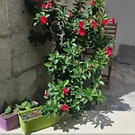 아파트 Heritage Stone *