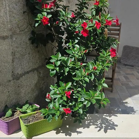 דירה Heritage Stone *